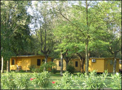 Spina Camping Village